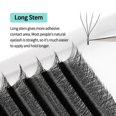 Four Leaf Clover 4D Eyelash Extensions W Shape Lash